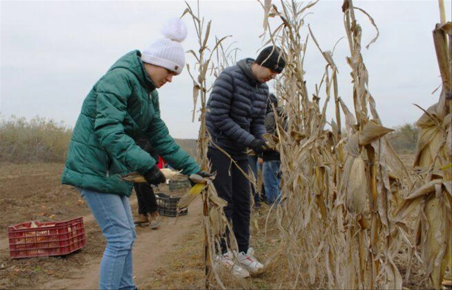 Autista-farm-2024-november-157-655x420.jpg