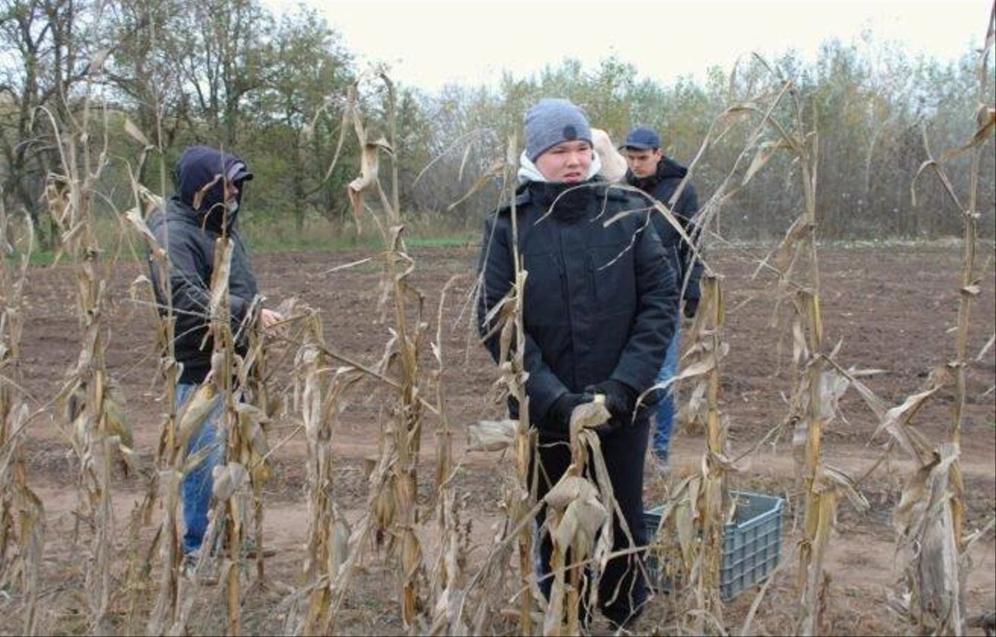 Autista-farm-2024-november-174-656x420.jpg