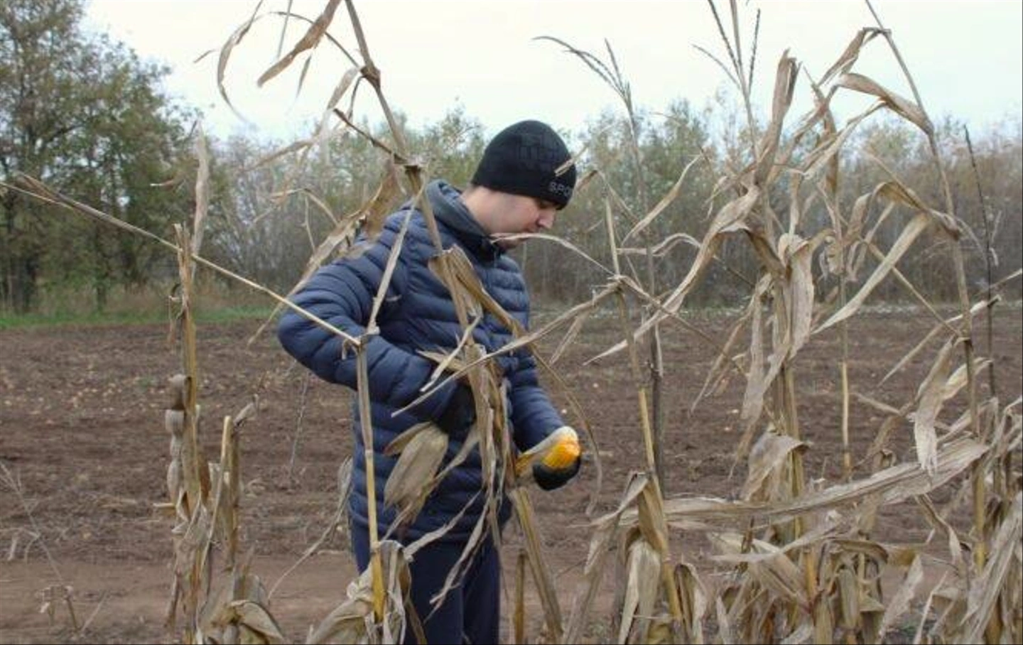 Autista-farm-2024-november-179-666x420.jpg