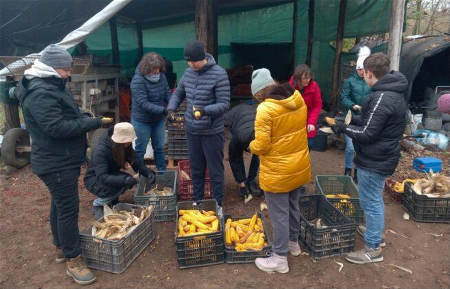 Autista-farm-2024-november-280-653x420.jpg