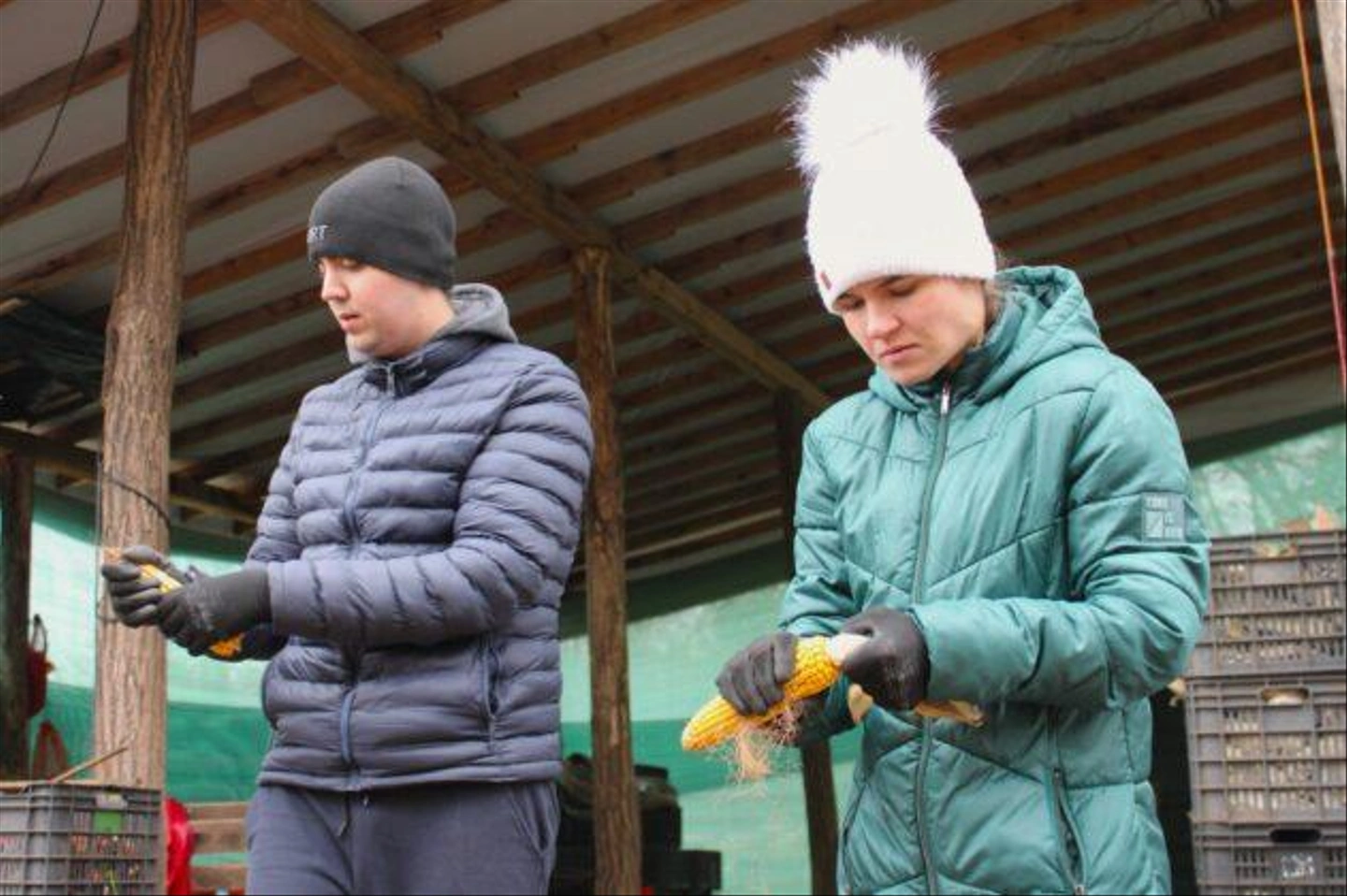 Autista-farm-2024-november-285-631x420.jpg