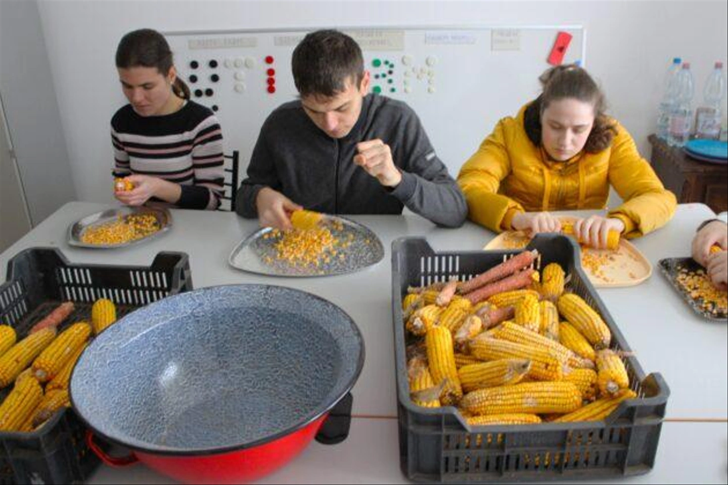 Autista-farm-2024-november-368-630x420.jpg