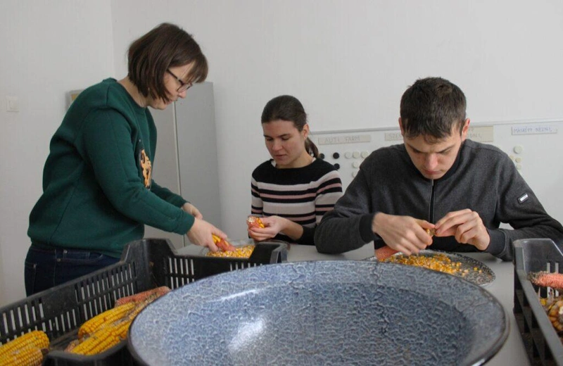 Autista-farm-2024-november-393-1024x665.jpg