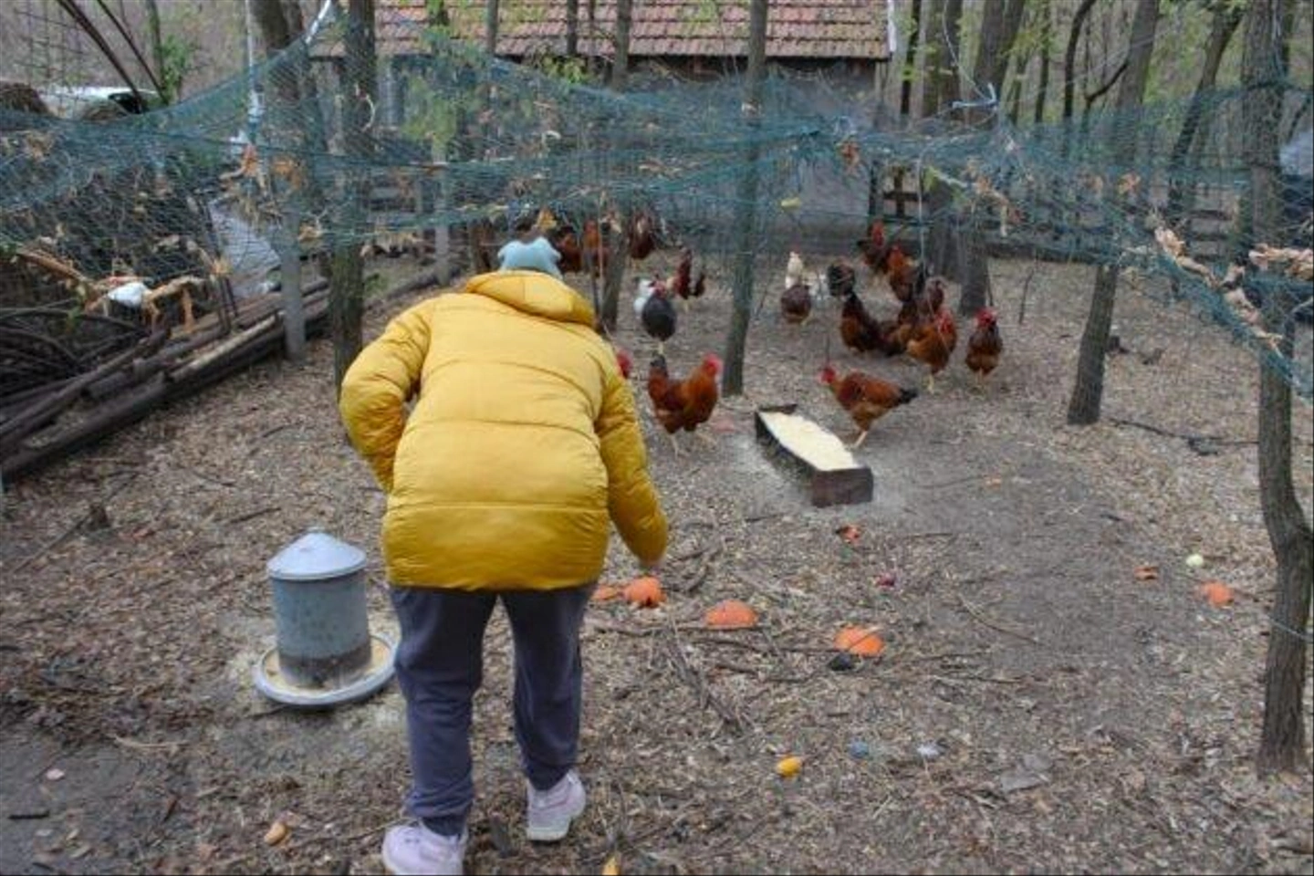 Autista-farm-2024-november-427-630x420.jpg