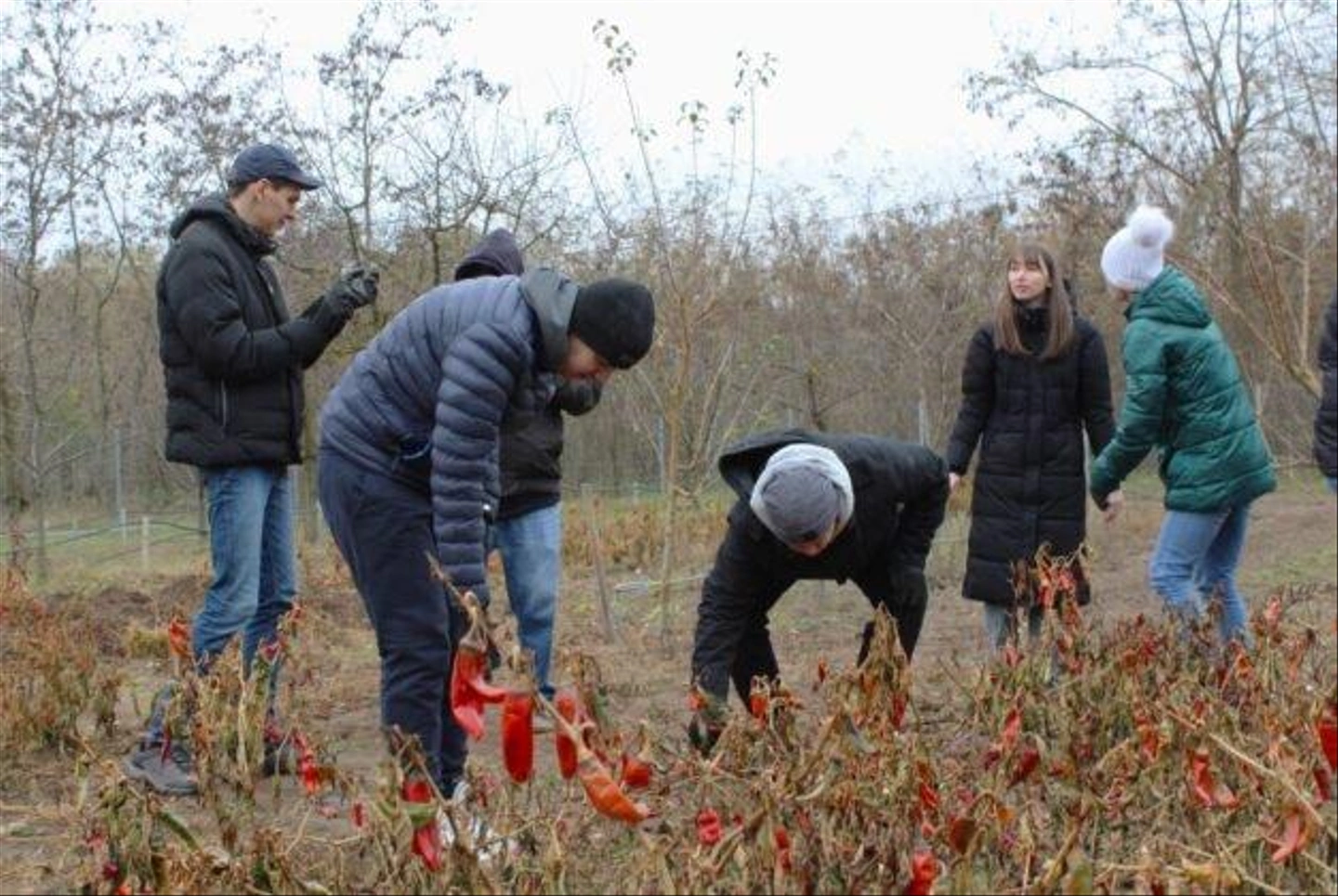 Autista-farm-2024-november-433-627x420.jpg