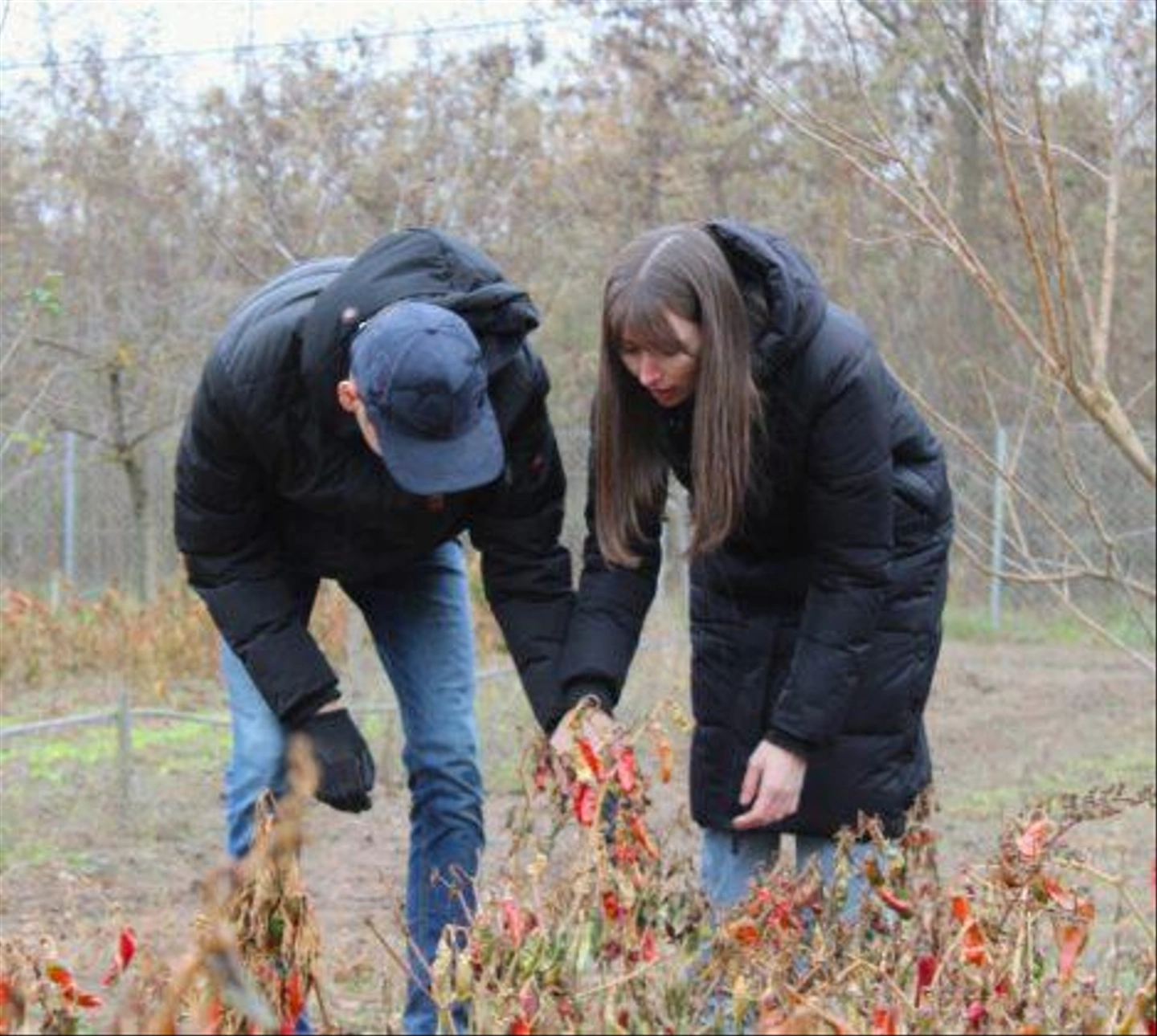 Autista-farm-2024-november-437-469x420.jpg