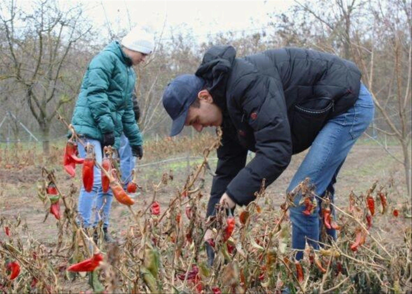 Autista-farm-2024-november-453-589x420.jpg