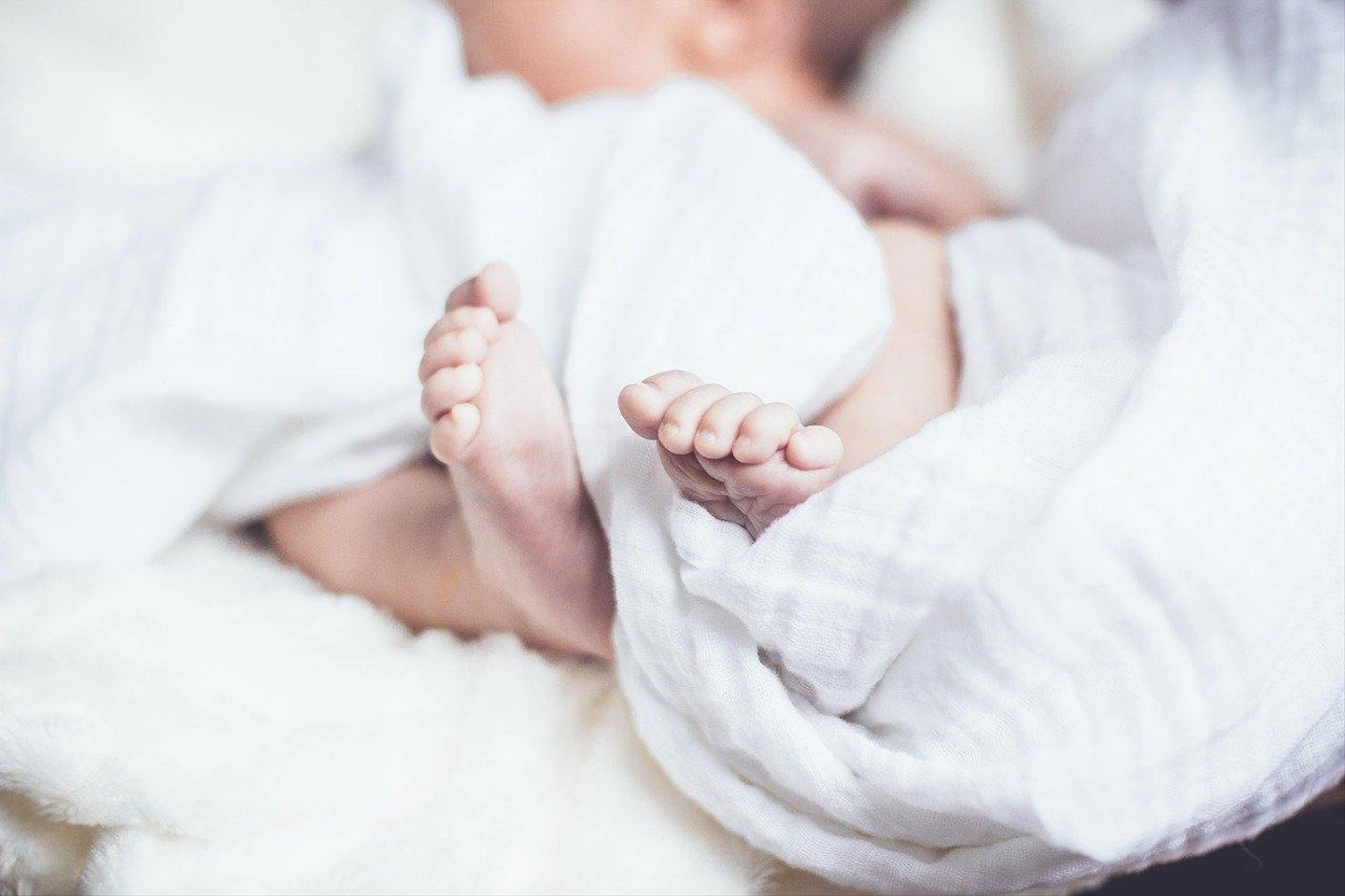 baby-1866623_1280.jpg