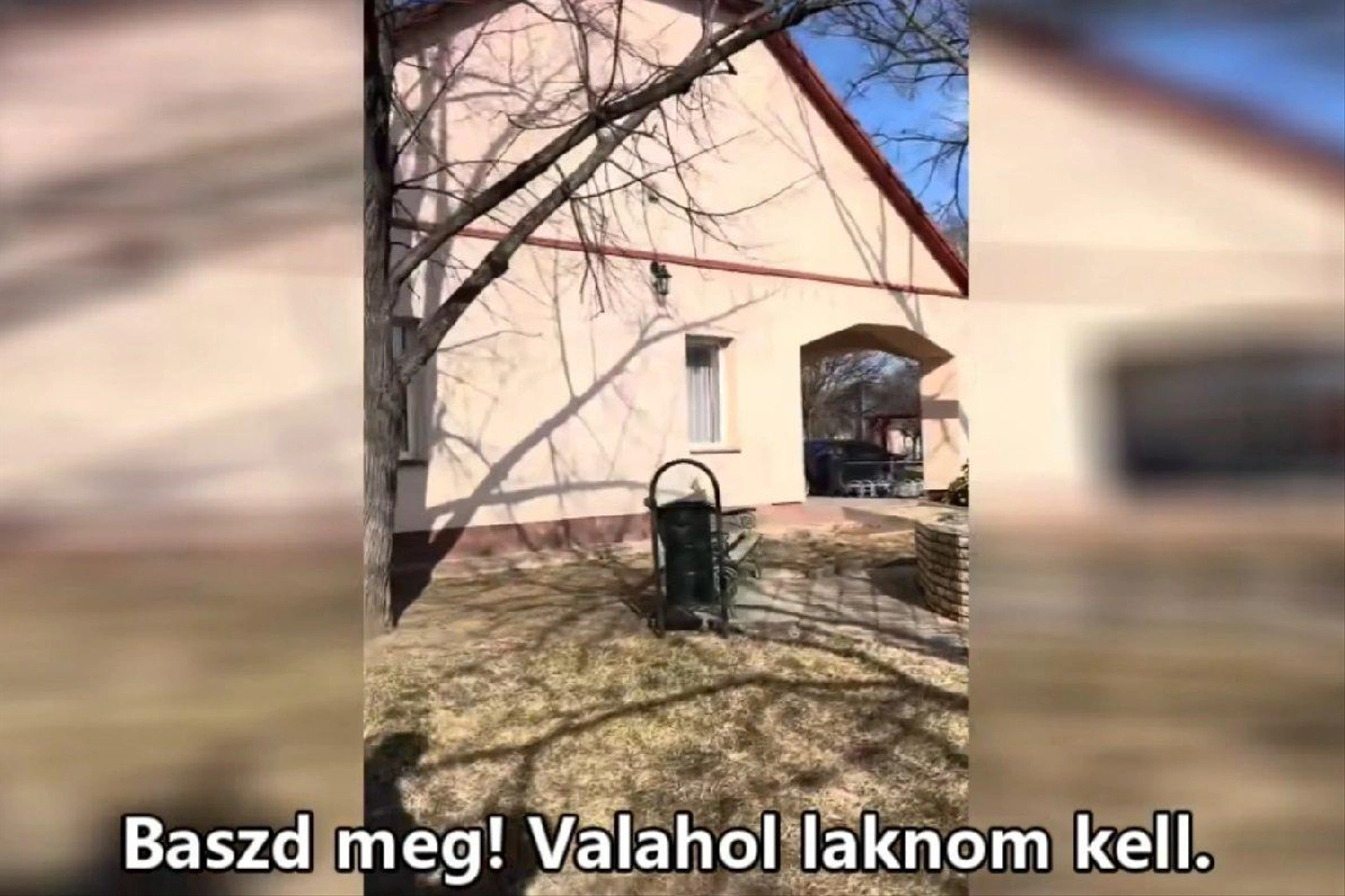 bacsszolos.jpg