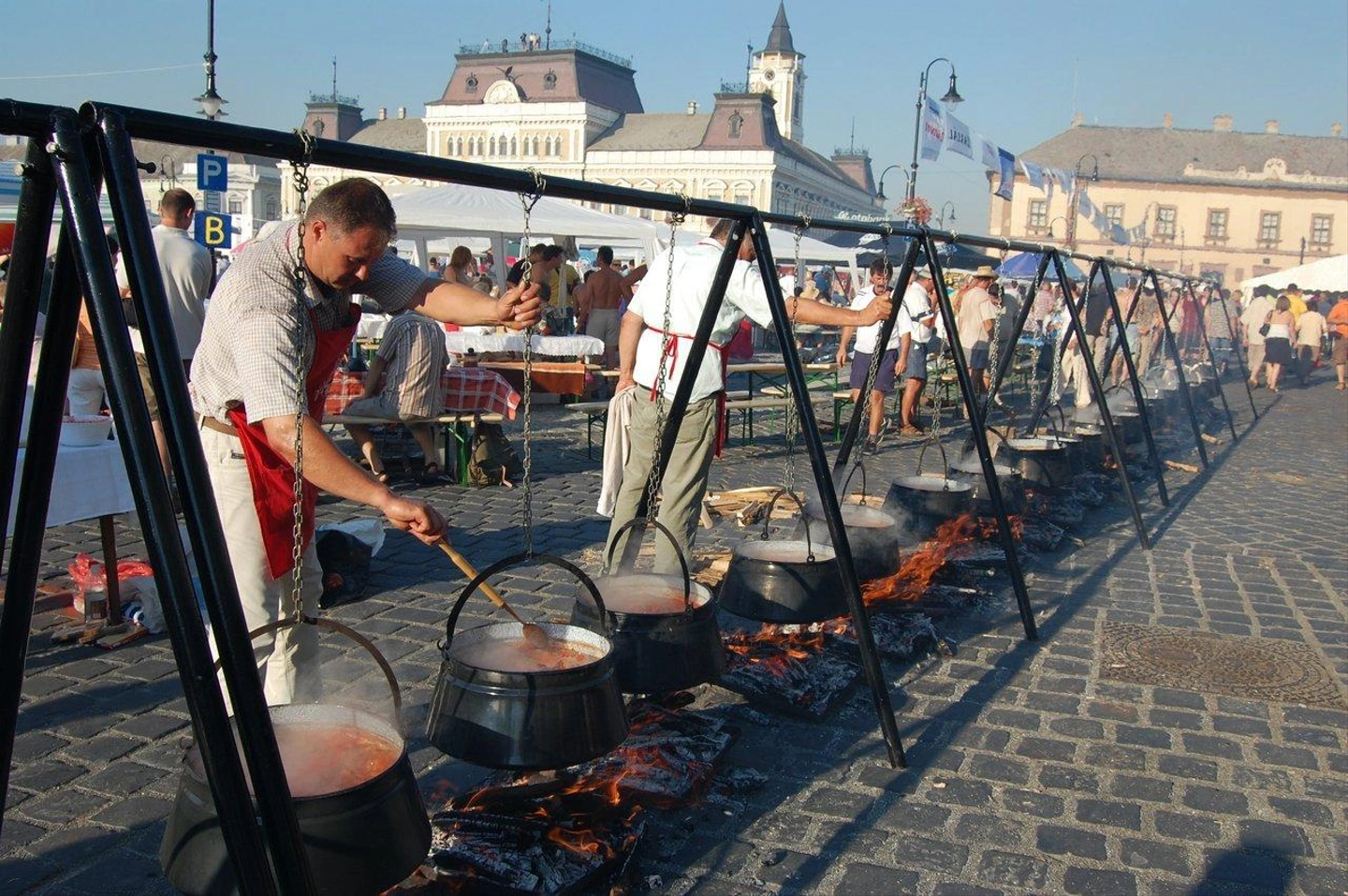 bajai-halfozo-fesztival.jpg