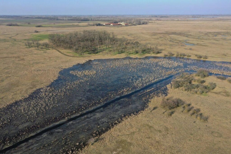 Jó példa lehet: a Kiskunsági Nemzeti Park Igazgatóság (KNPI) egy, az Európai Unió által finanszírozott LIFE-projektben a Baksi-puszta vízviszonyainak javítását célzó fejlesztéseket végzett el. Idén tavasszal közel 100 hektárt öntött el a víz a zsilipek szabályozásával, ennek köszönhetően pedig a korábbi évekhez képest nagyobb volt a madármozgás, rengeteg nyári lúd, nagy lilik, tőkés réce, csörgő réce és bíbic érkezett a pusztára / Fotó: KNPI