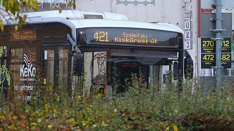 busz-szamozas.jpg