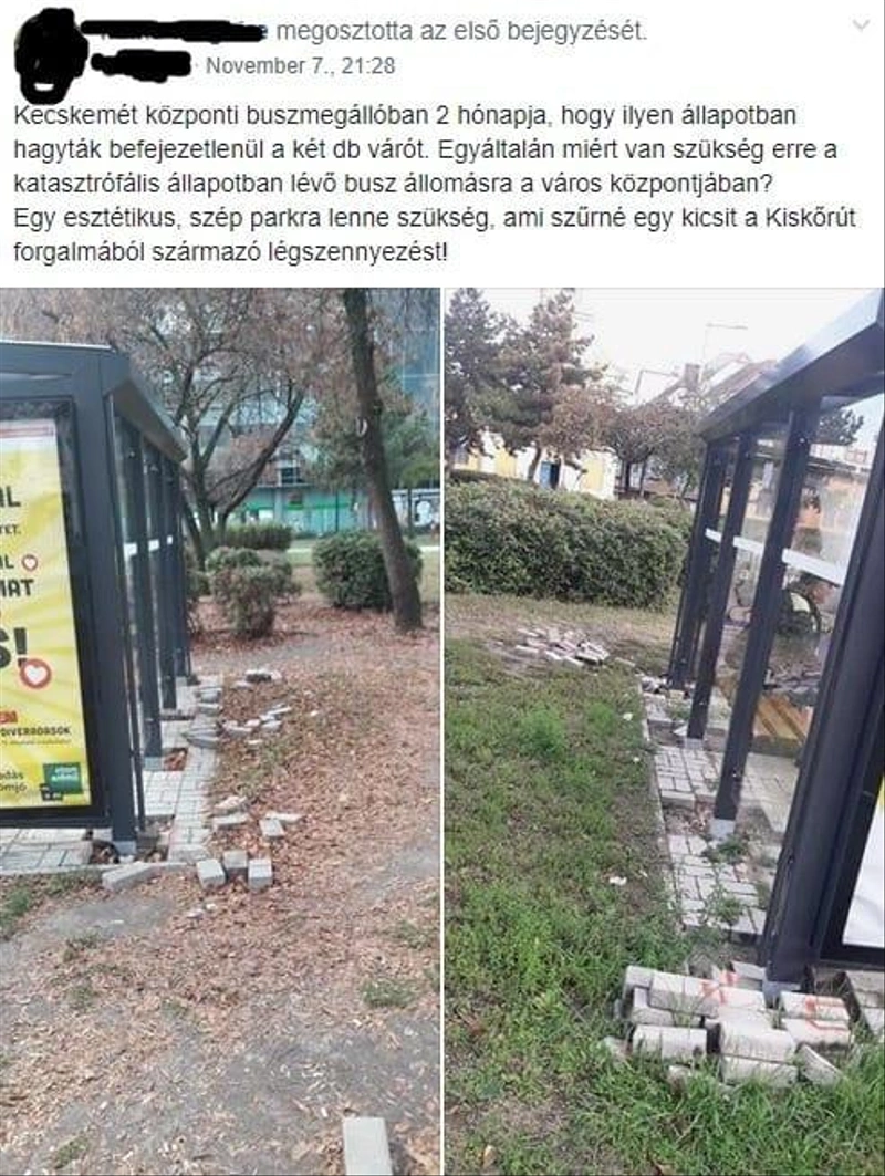 buszmegface.jpg