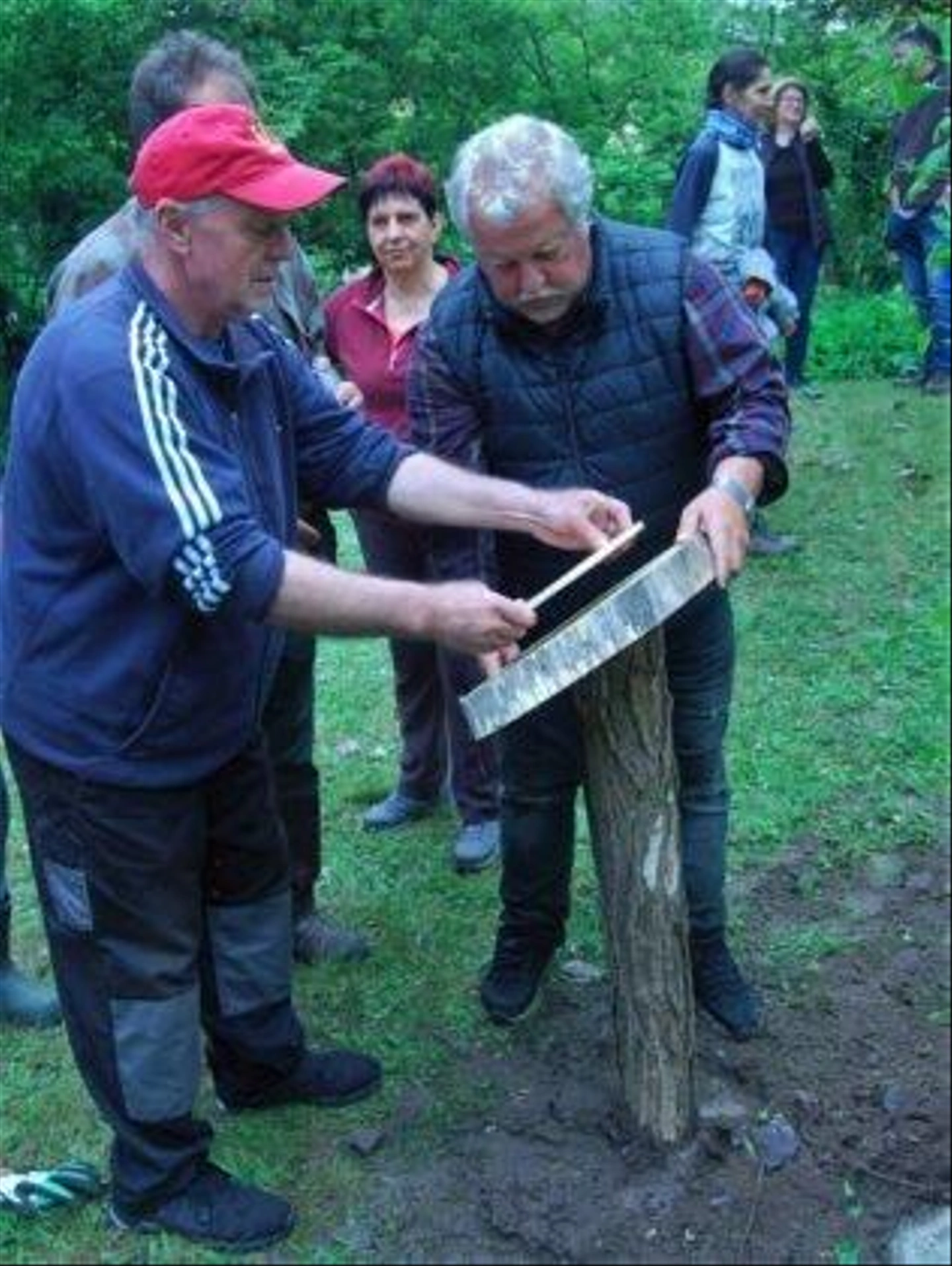Cegledi-uti-botanikus-kert-4-316x420.jpg