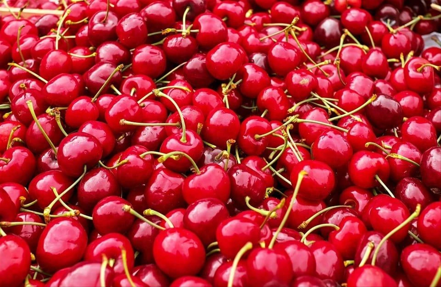 cherries-1465801_960_720.jpg