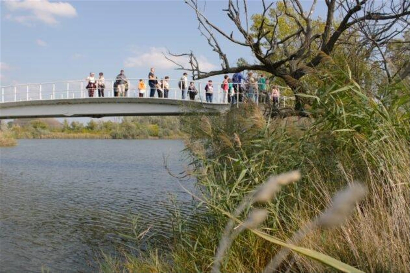 Civil-Piknik-Erdopark-28-630x420.jpg