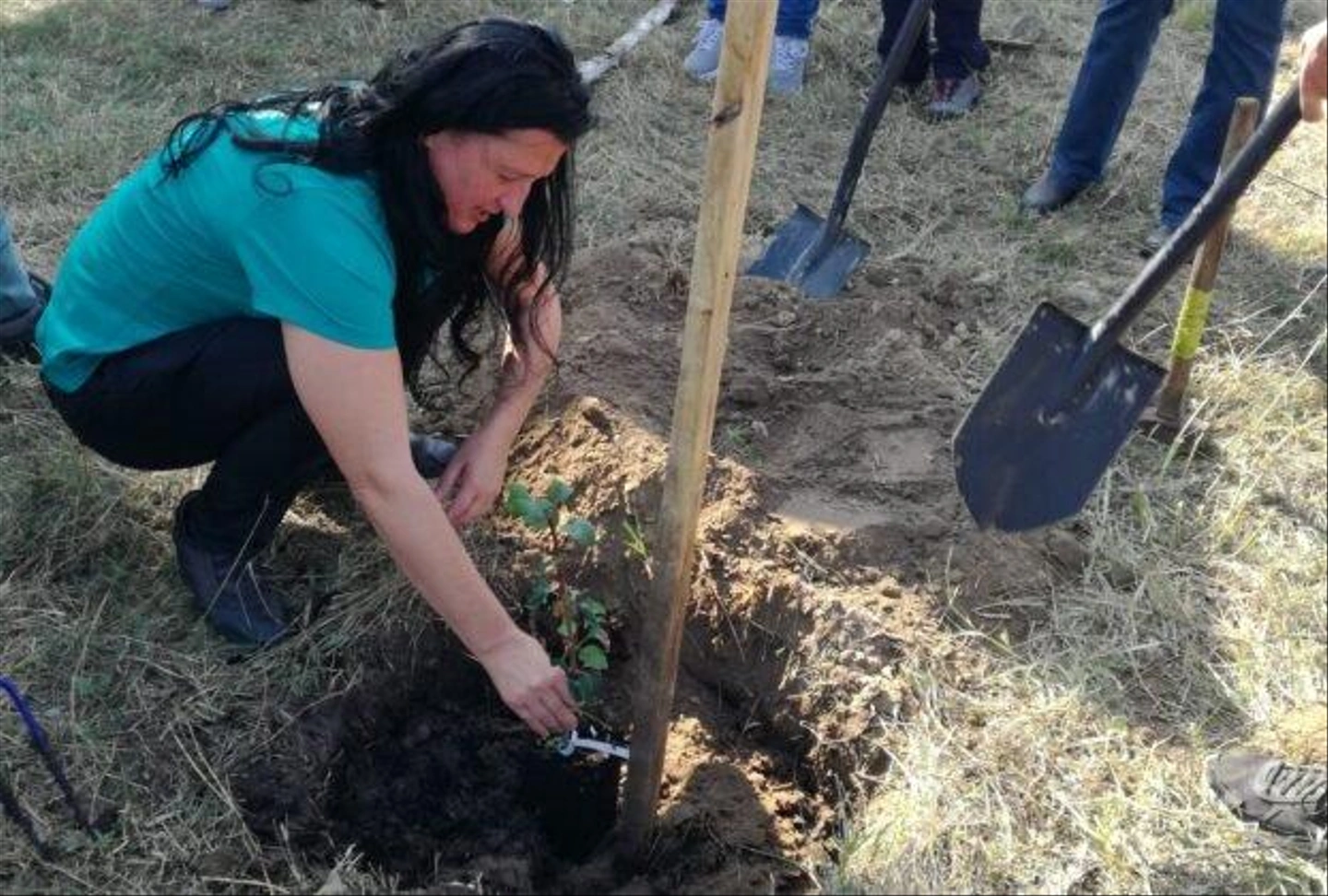 Civil-Piknik-Erdopark-40-622x420.jpg