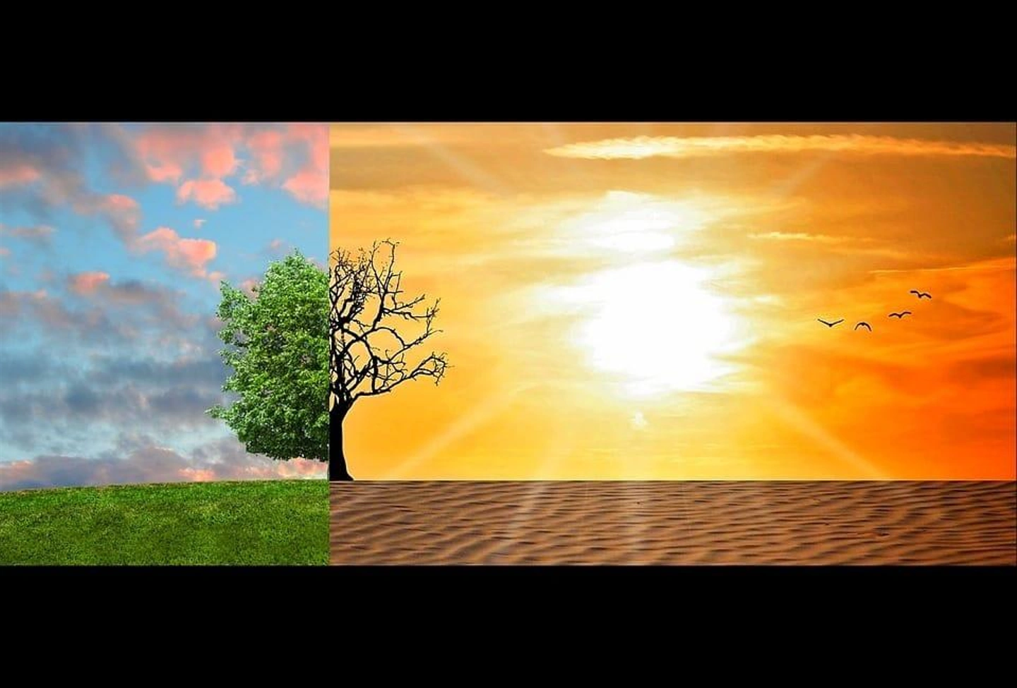 climate-change-2063240_960_720.jpg