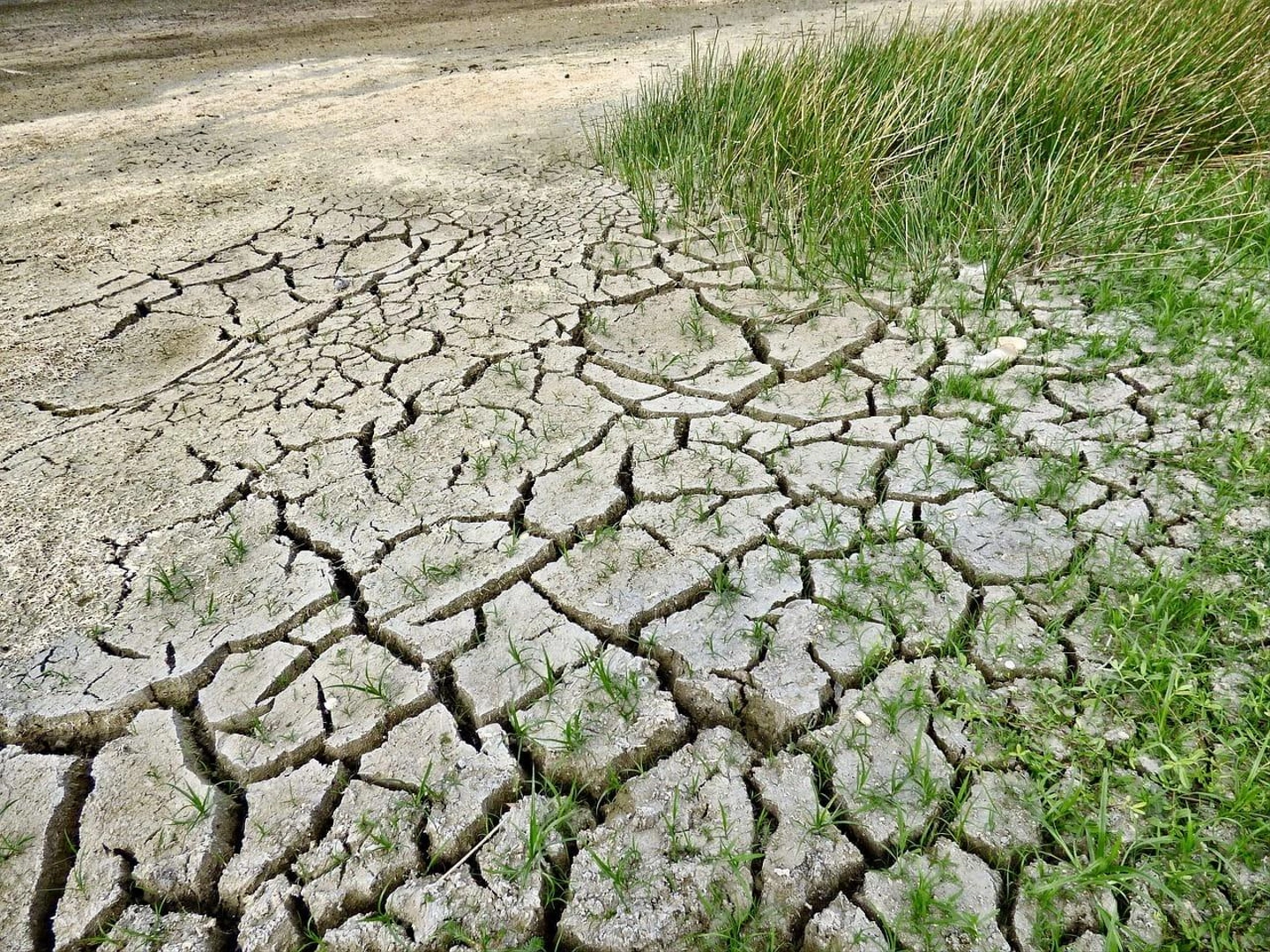 climate-change-2241061_1280.jpg