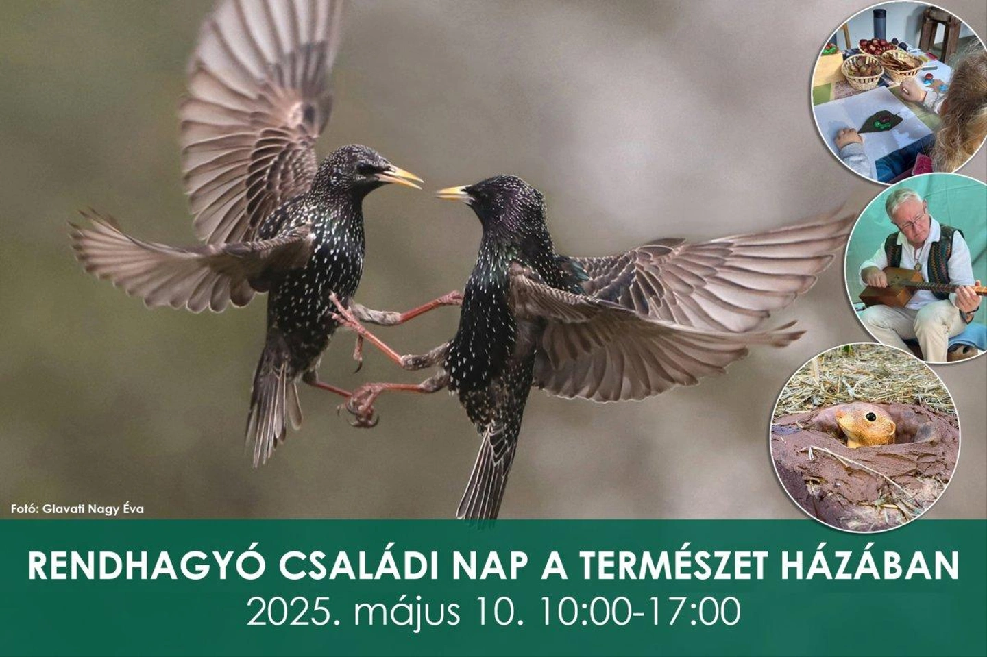 csaladi-nap2.jpg