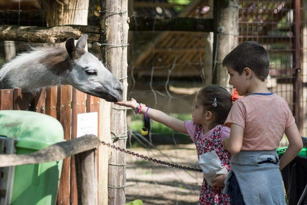 D72_1437-630x420.jpg