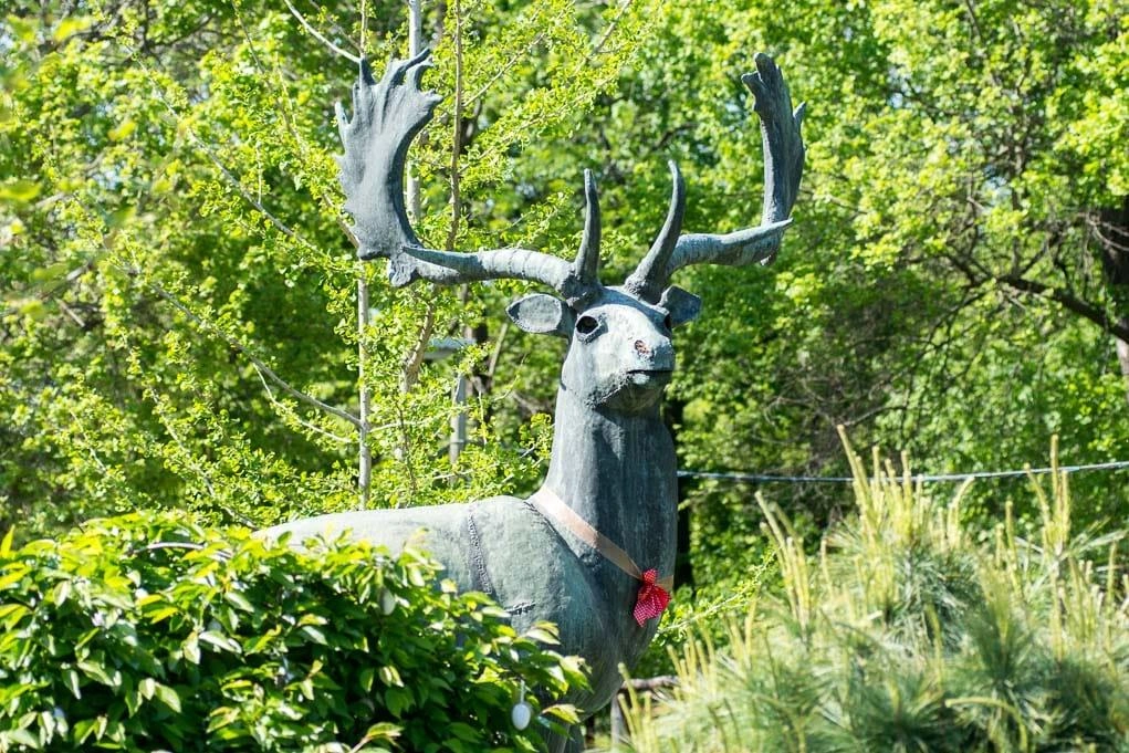 D72_1532-630x420.jpg