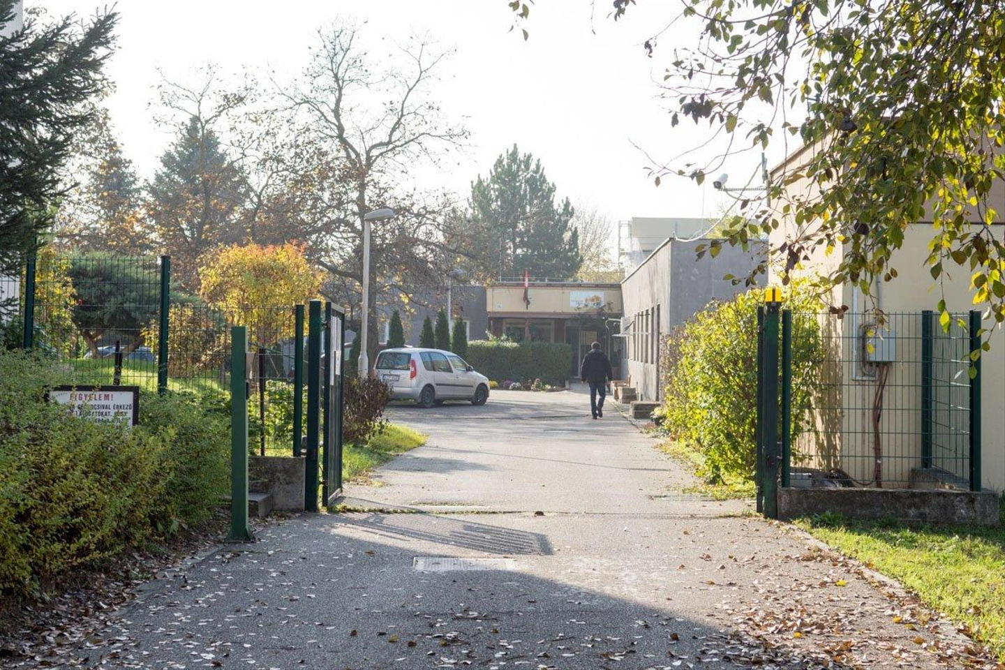 D72_7166.jpg
