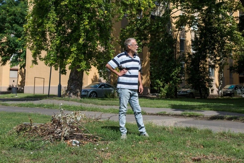 D72_9774.jpg