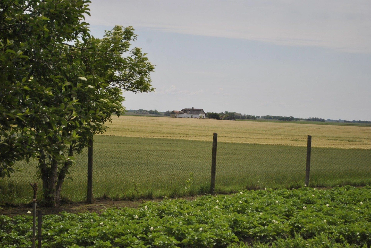 DSC1016-627x420.jpg