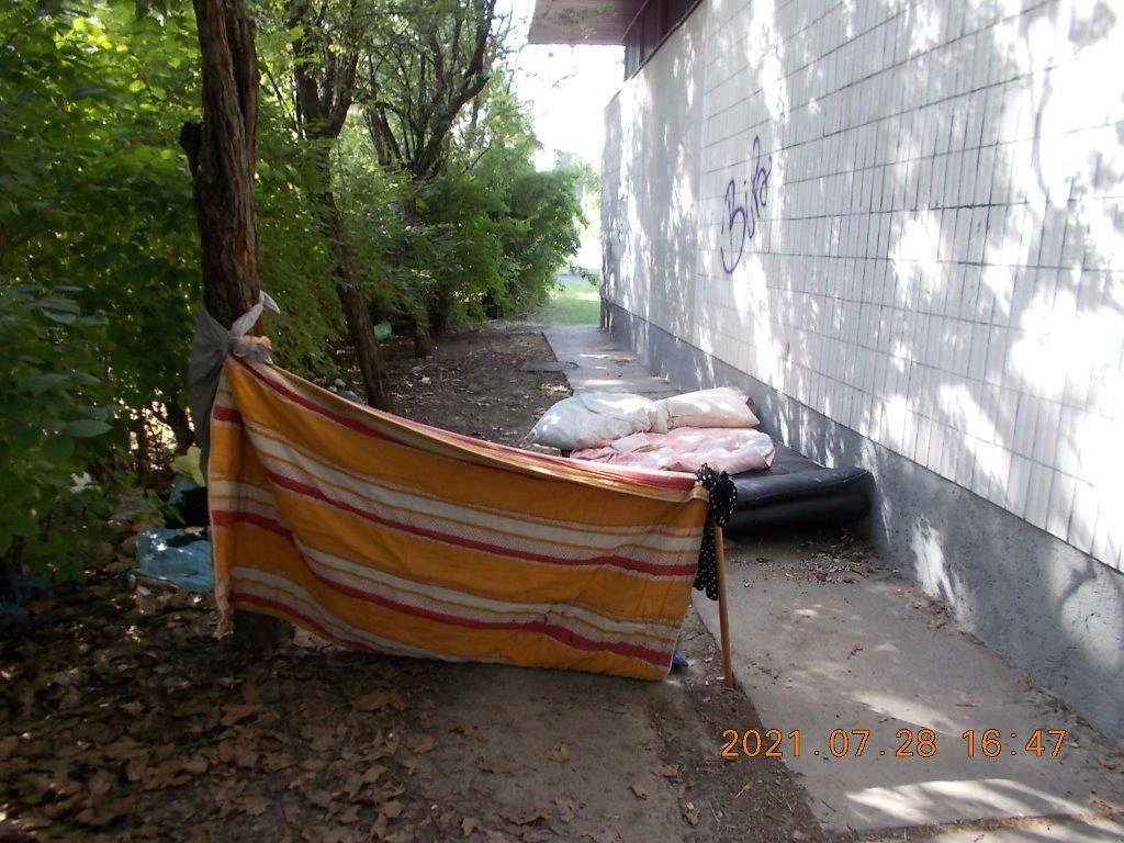 DSCN1732-560x420.jpg