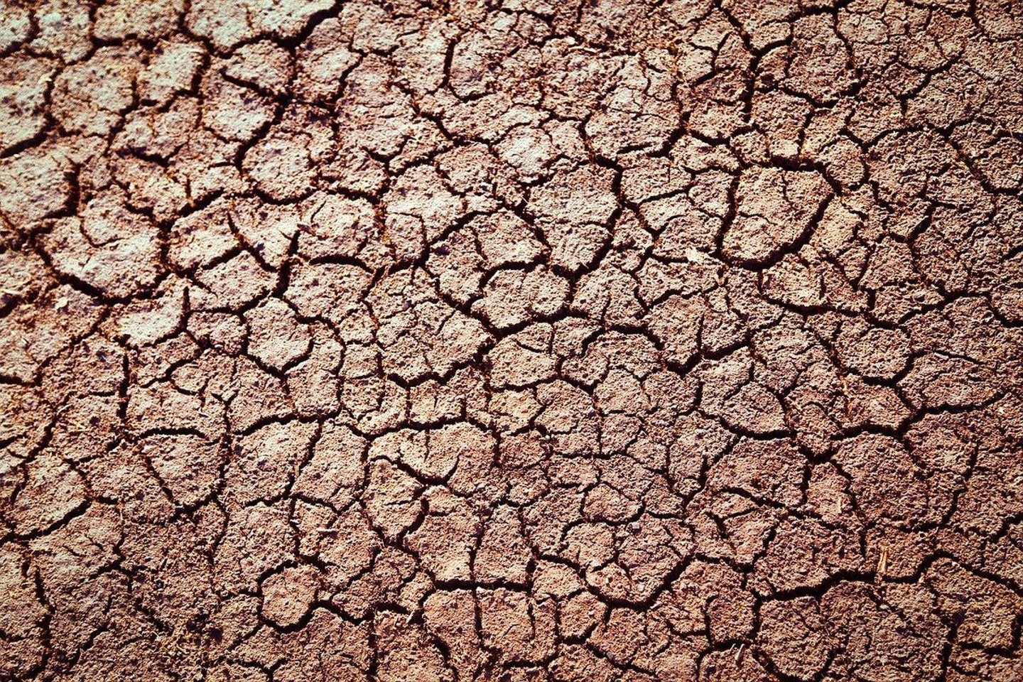 earth-630875_1280.jpg