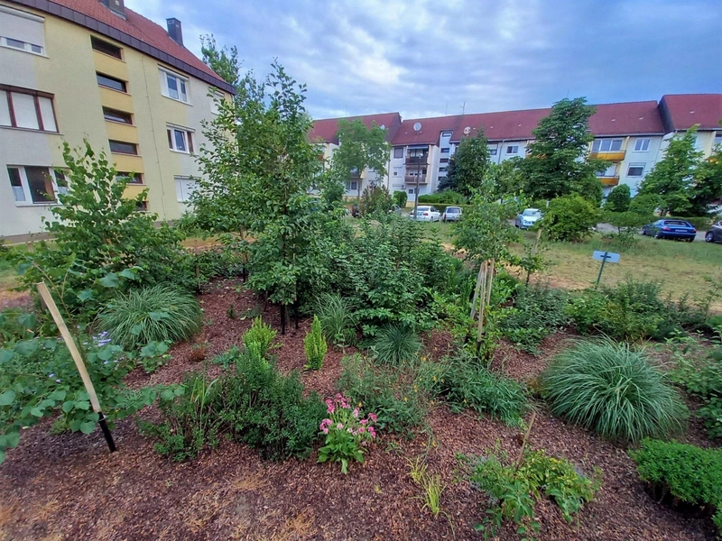 2023. augusztus / Fotók: Hraskó István