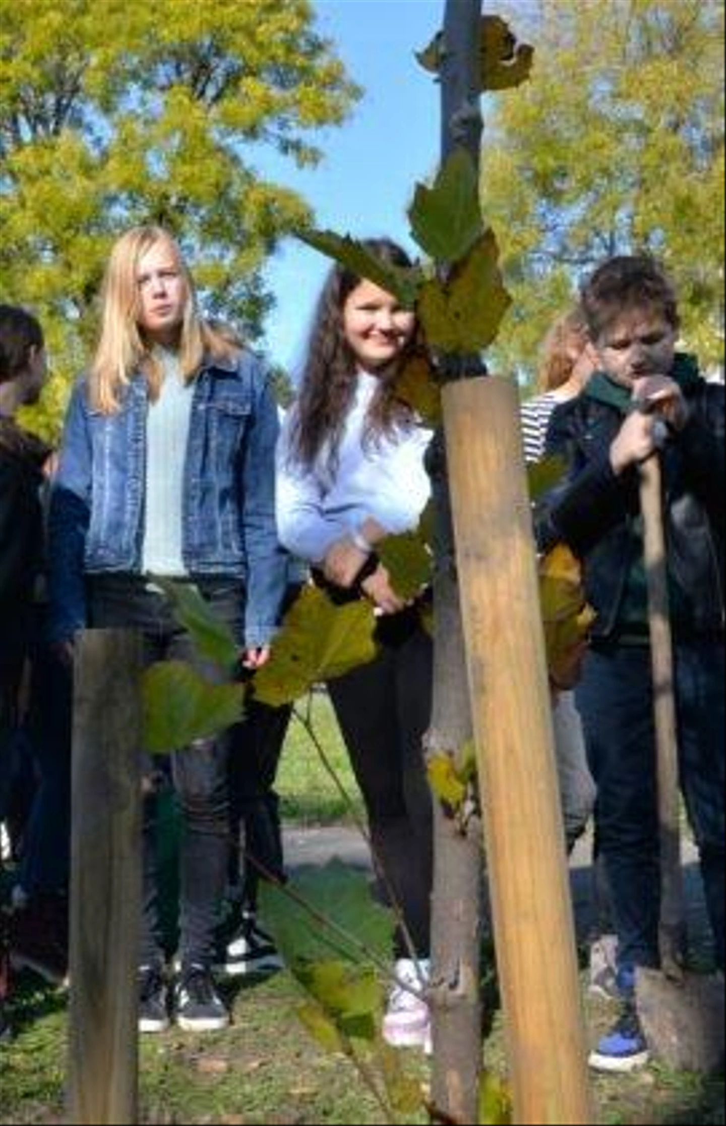 Faultetes-Boldogasszony-ter-Zoldito-183-271x420.jpg