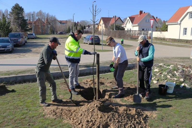 Fotó: Hraskó István, KecsUP Hírek