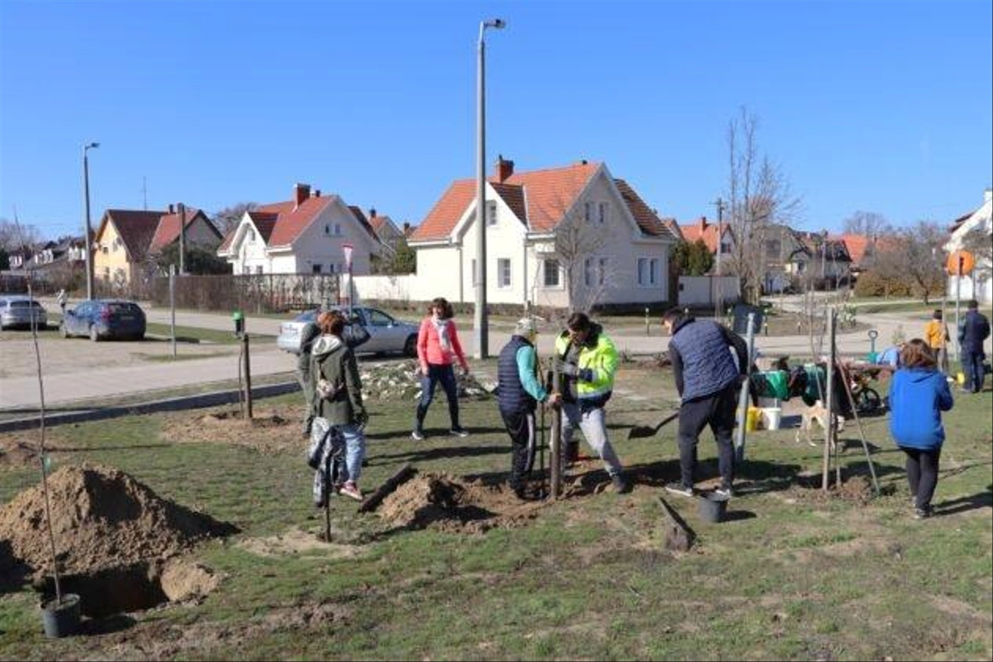 faultetes-Hollandfalu-Zoldito-28-630x420.jpg