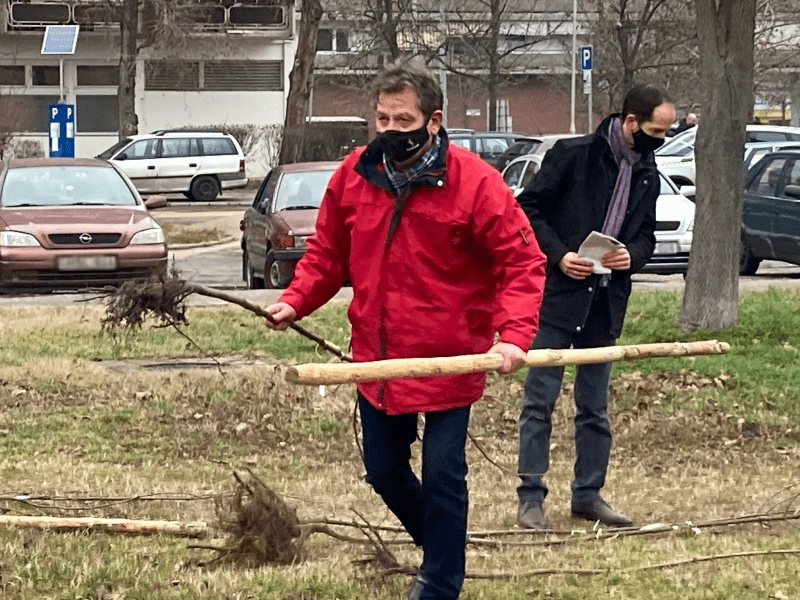 faultetes2-e1608288102561.png