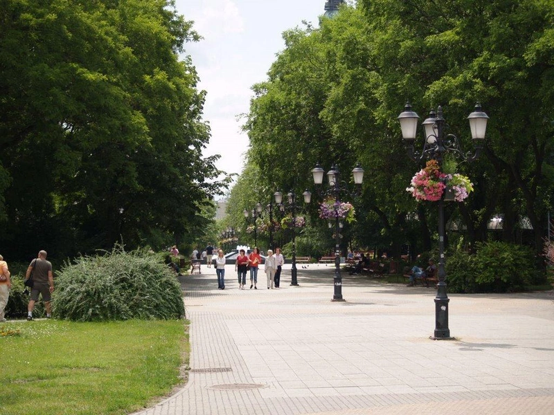 a Főtéren található állomány magas átlagértékű és jó egészségi állapotú / Fotó: mapio.net