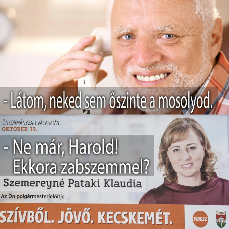 internetes mém