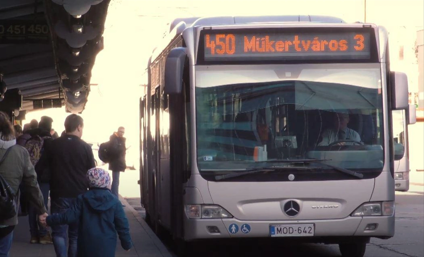 gf4321.jpg
