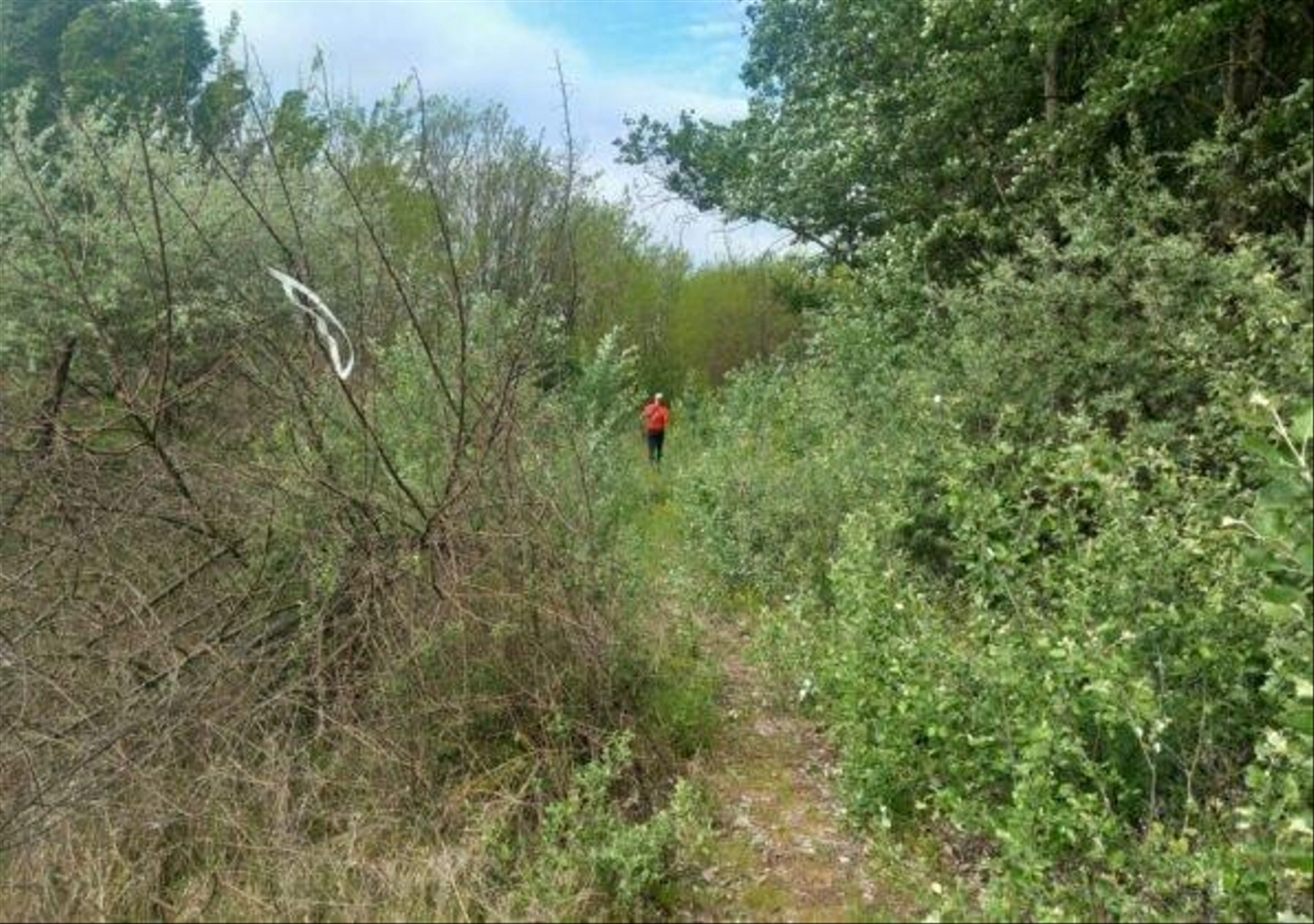 Harom-Hatar-Teljesitmenytura-41-597x420.jpg