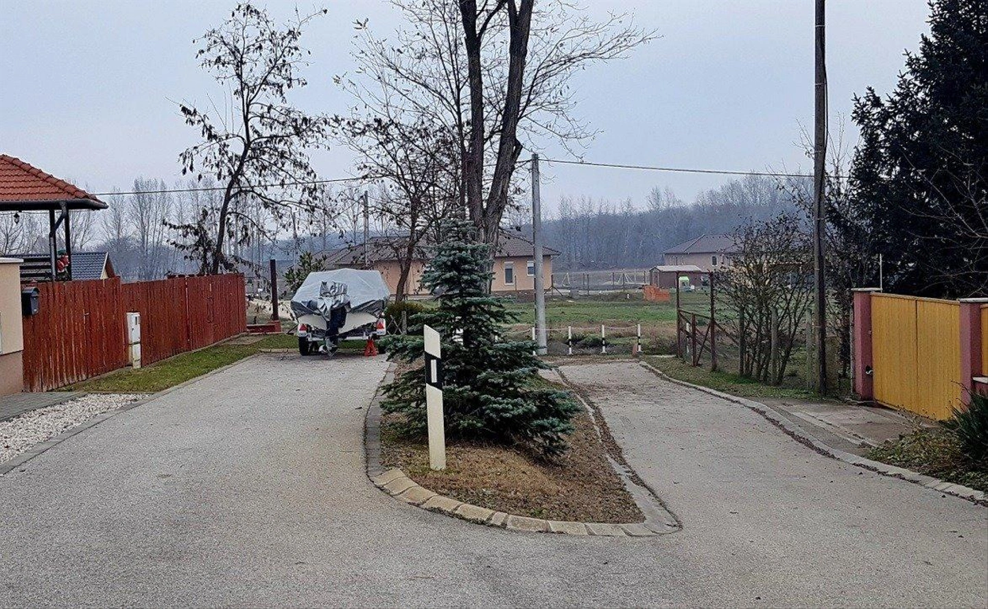 hortenzialezarva2.jpg