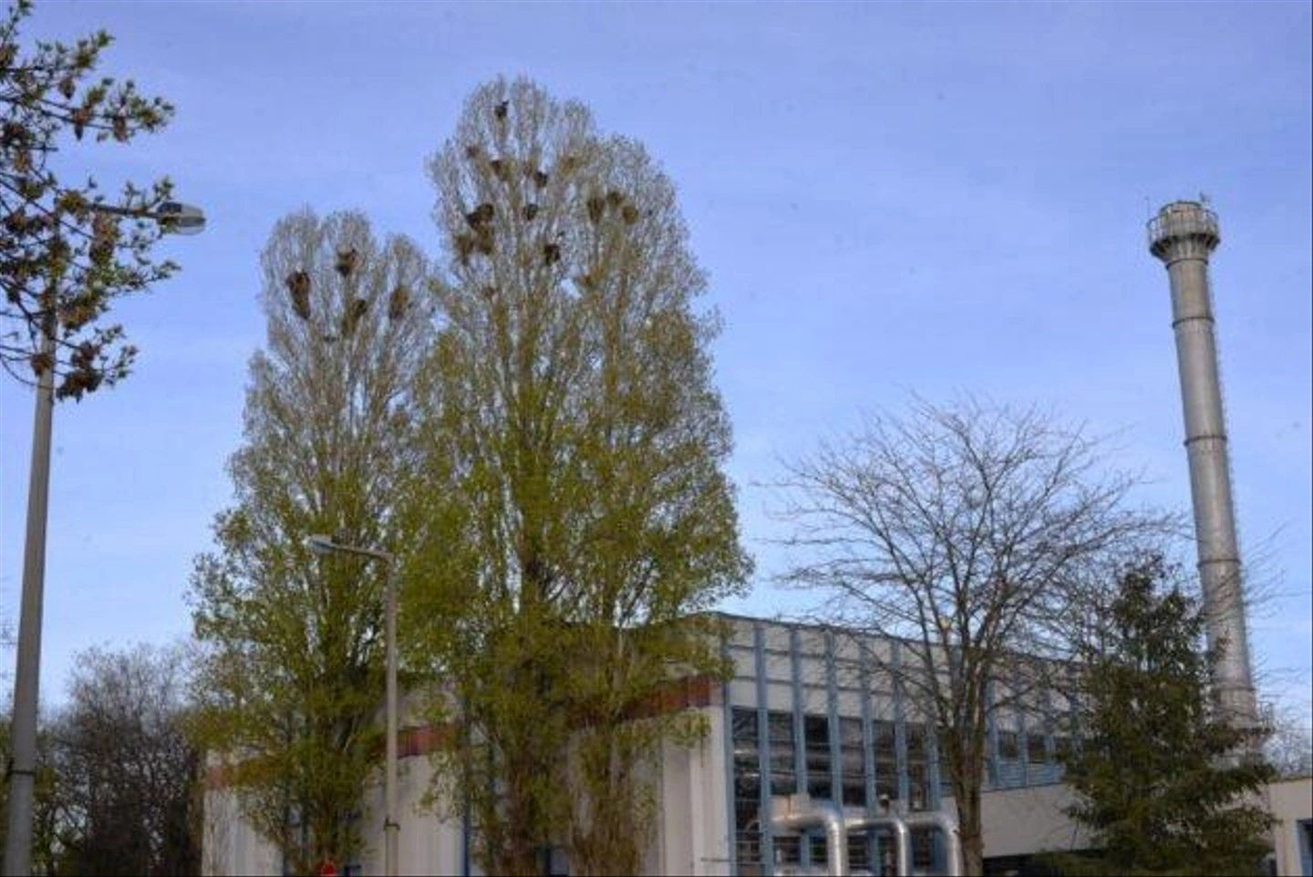 HRI_5412-629x420.jpg