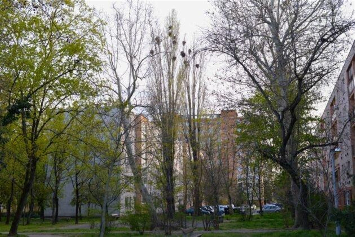 HRI_5419-629x420.jpg