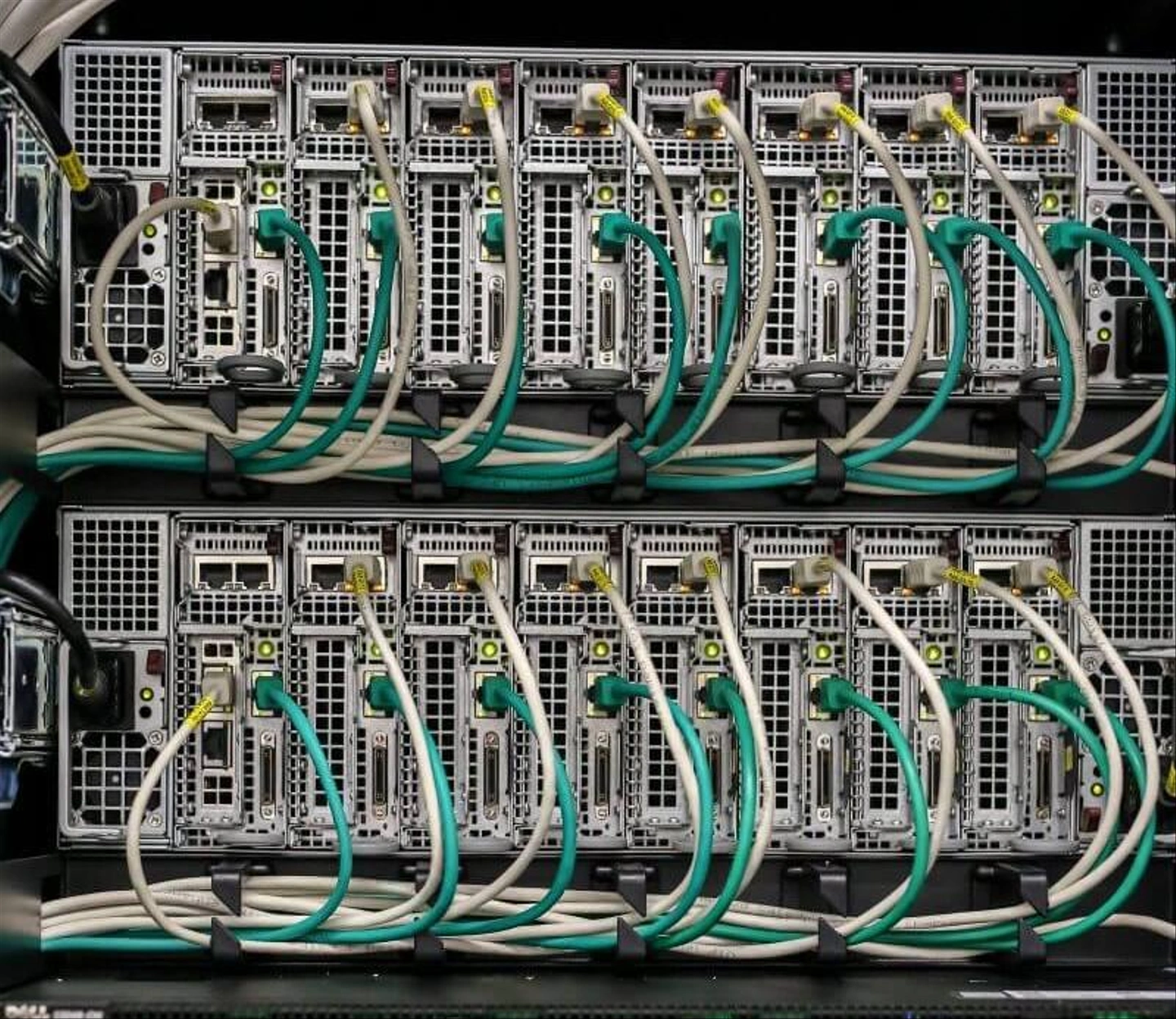 https-__rackforest.com_-2023-januar-Cikk6.jpeg