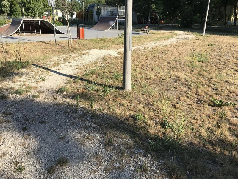 A parkok is igénylik a gondozást / Fotó: kecsup.hu
