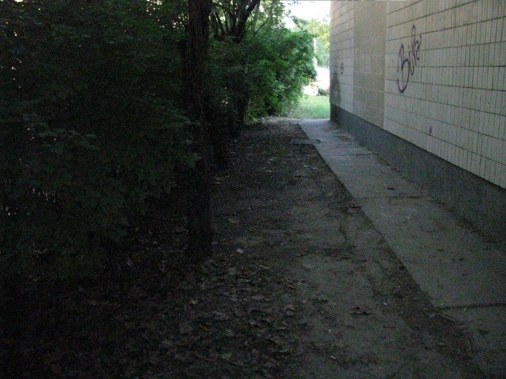IMG_0056-560x420.jpg