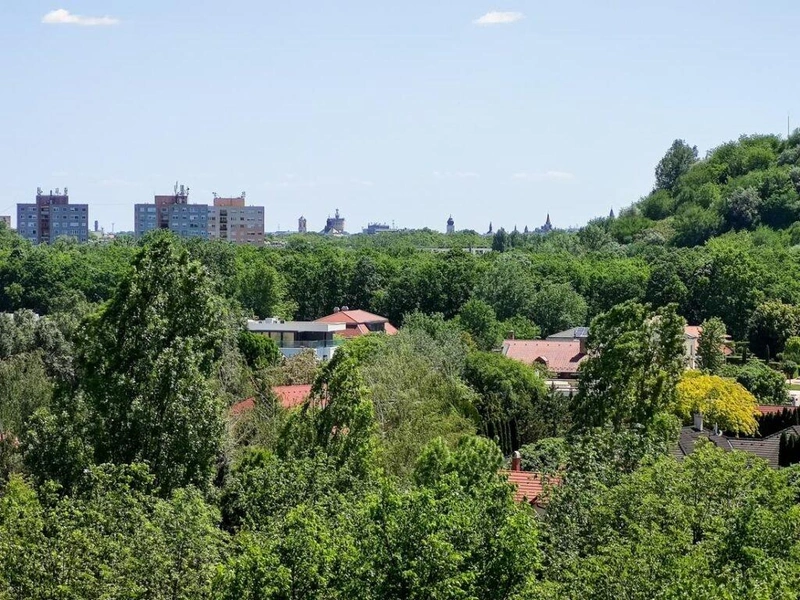 Kilátás a toronyból