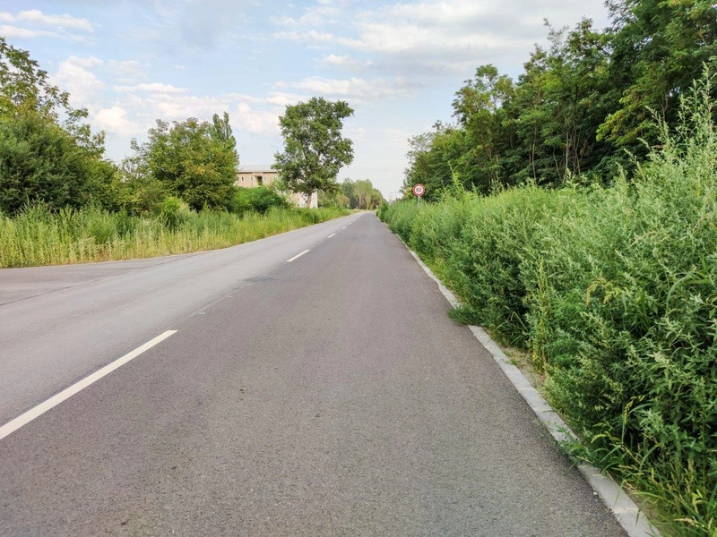 augusztus eleji fotó