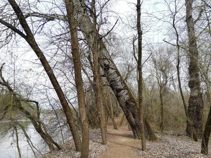 Séta a Tisza mellett / Fotó: kecsup.hu