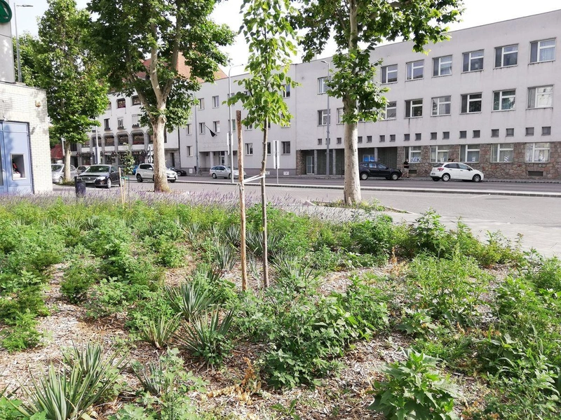 Sokan azért aggódnak, hogy a lehetségesnél jelentősen kevesebb zöld felület lesz / Fotó: kecsUP